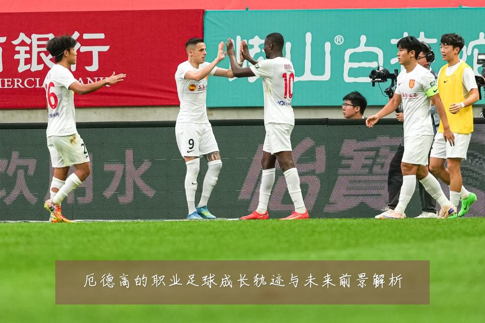 厄德高的职业足球成长轨迹与未来前景解析